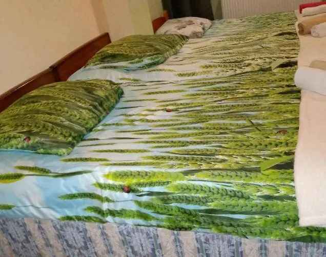 Dom Nad 게스트하우스